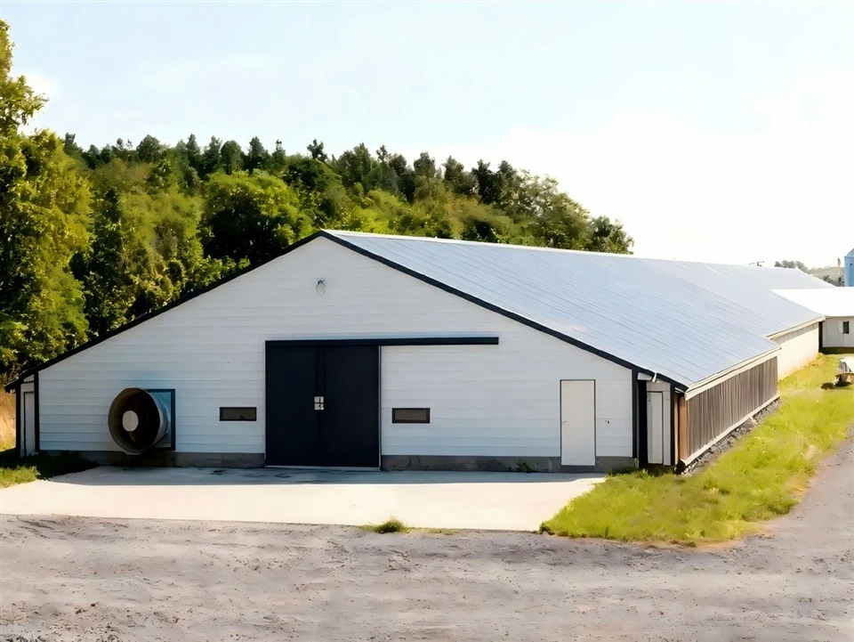 white-steel-structure-poultry-house-with-ventilation-farm white-steel-structure-poultry-house-with-ventilation-farm